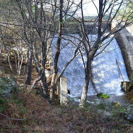 Daire Vut- La Deliciosa