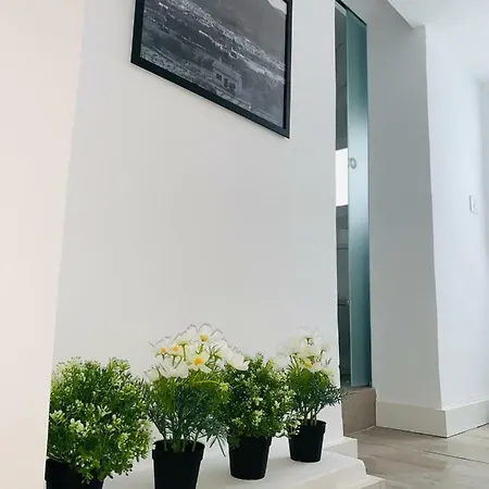 Daire Vut- La Deliciosa Sotillo de la Adrada